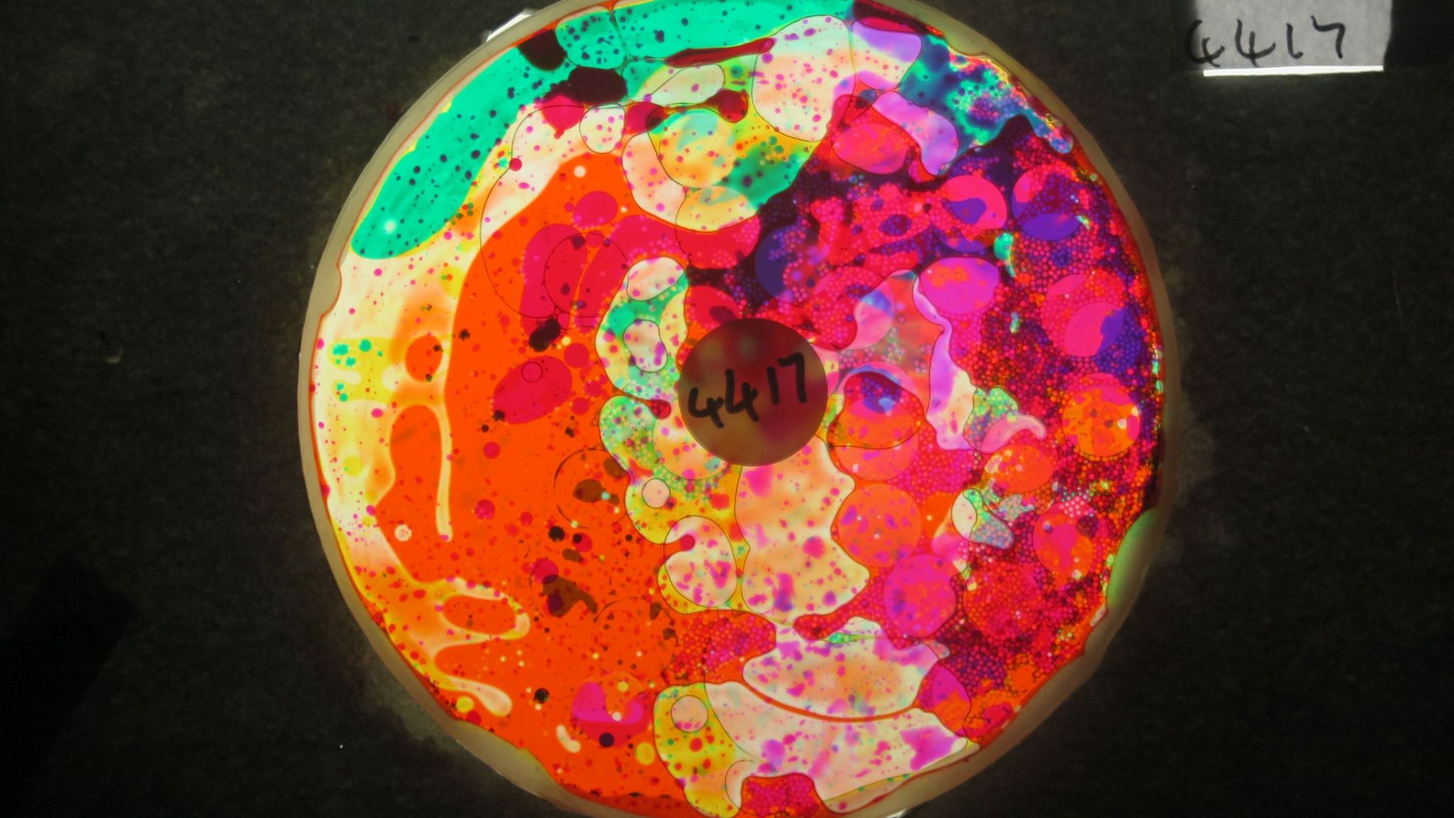 BV4417 bubble vision oil wheel